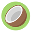 椰子